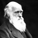 Image for article titled New Journals Reveal Darwin’s Observations Began As Research For Finch-Based Fantasy Series